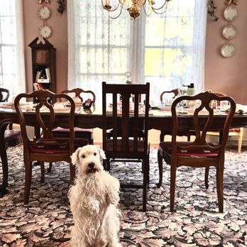 Millhouse Inn - Small dog pet friendly Bed and Breakfast. Hampton loved it! - Bed & Breakfast Near Me - Quincy, Florida Millhouse Inn - Small dog pet friendly Bed and Breakfast. Hampton loved it! - Bed & Breakfast Near Me - Quincy, Florida