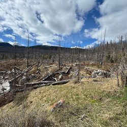 Medicine Lake - Some of the fire damage from last years fire