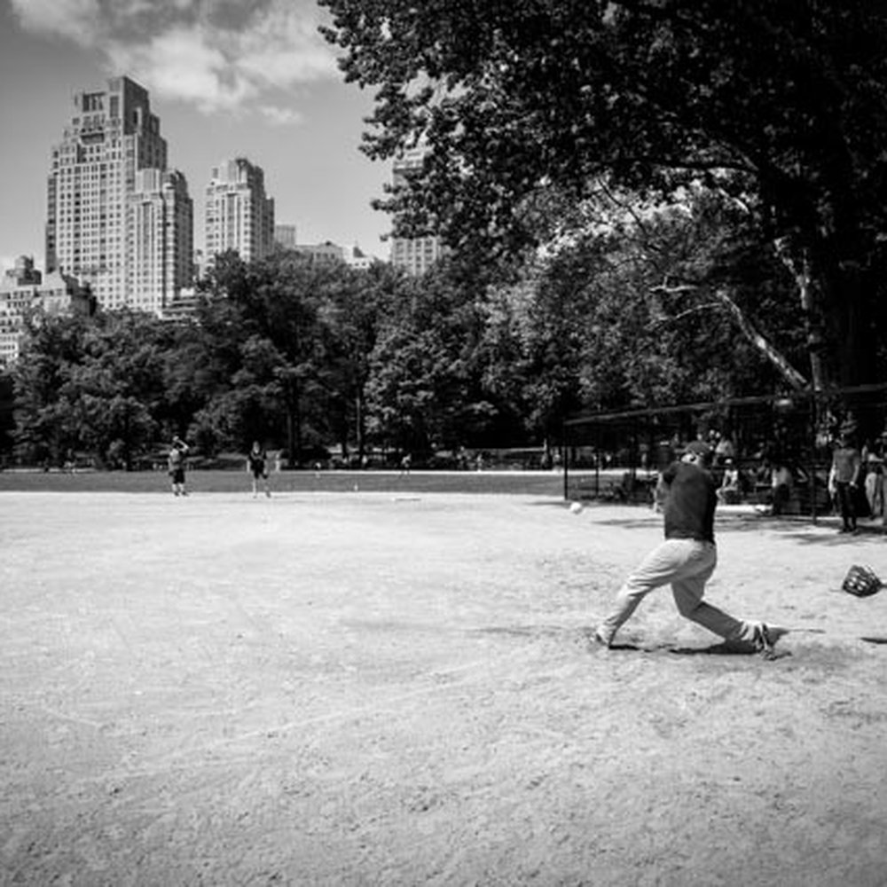 Central Park Softball/Baseball Fields - Kings v Panthers, Central Park, 20th August 2017 - Baseball Fields Near Me Central Park Softball/Baseball Fields - Kings v Panthers, Central Park, 20th August 2017 - Baseball Fields Near Me