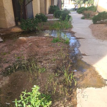 Camco - Property Management Near Me - Las Vegas, Nevada Camco - Property Management Near Me - Las Vegas, Nevada