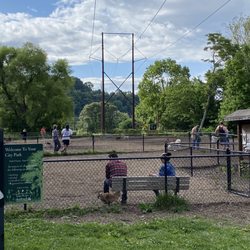 French Broad River Park - Dog park