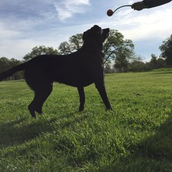 Phoenix Park