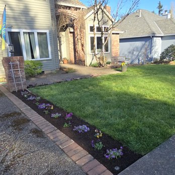 Drake's 7 Dees - Plants in strip with hemlock mulched bark - Nurseries & Gardening Near Me - Portland, Oregon Drake's 7 Dees - Plants in strip with hemlock mulched bark - Nurseries & Gardening Near Me - Portland, Oregon