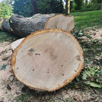 AR Tree Service - Firewood Near Me - Pittstown, New Jersey AR Tree Service - Firewood Near Me - Pittstown, New Jersey