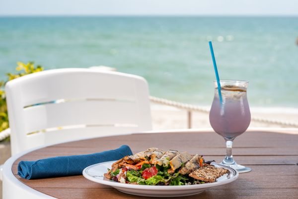 The Turtle Club by null