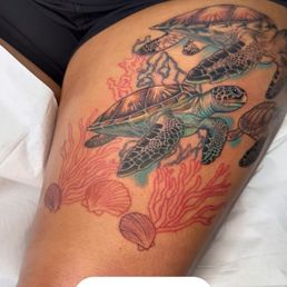 Turtle water scene