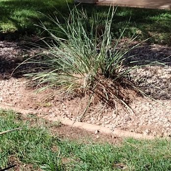 BrightView - Landscape Architects or Designers Near Me - Gardena, California
