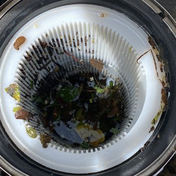 National Pools & Spas - This is the pump skimmer basket after their visit. Looks good right??? Lol - Hot Tub & Pool Near Me - Robbinsville, New Jersey National Pools & Spas - This is the pump skimmer basket after their visit. Looks good right??? Lol - Hot Tub & Pool Near Me - Robbinsville, New Jersey