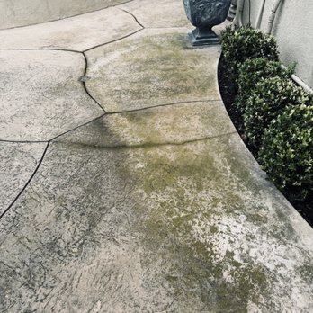 WASS Exterior Cleaning - Before pressure wash and treatment. - Pressure Washers Near Me WASS Exterior Cleaning - Before pressure wash and treatment. - Pressure Washers Near Me