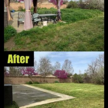 Kings and Queens Demolition - Yard clean out make over patio pressure washed - Demolition Services Near Me Kings and Queens Demolition - Yard clean out make over patio pressure washed - Demolition Services Near Me