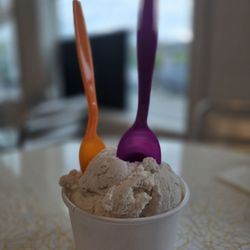 Mad Martha's Ice Cream - Salted Caramel ice cream