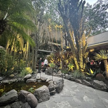 Botánico - Mexican Near Me - México, D.F., DIF Botánico - Mexican Near Me - México, D.F., DIF