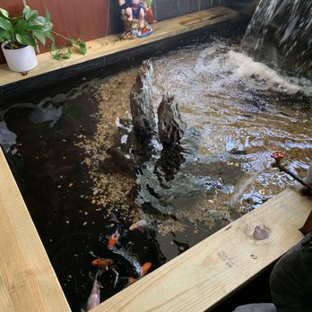 Szechuan Inn - Fish pond inside the restaurant - Chinese Near Me - Severna Park, Maryland Szechuan Inn - Fish pond inside the restaurant - Chinese Near Me - Severna Park, Maryland