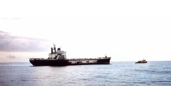 Nordic Shipping Consult Logo