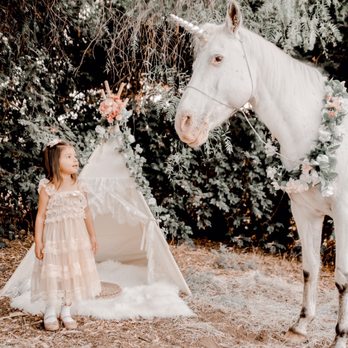 Maria V Photography - Session Photography Near Me
