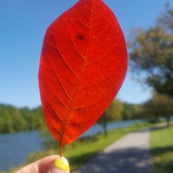 Centennial Park - Parks Near Me - Ellicott City, Maryland