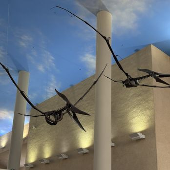 Bismarck Airport - Great artwork and sculpture in airport lobby - Airports Near Me - Bismarck, North Dakota Bismarck Airport - Great artwork and sculpture in airport lobby - Airports Near Me - Bismarck, North Dakota