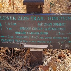 Mount Zion Trail - Lower Zion Trail Junction sign.
