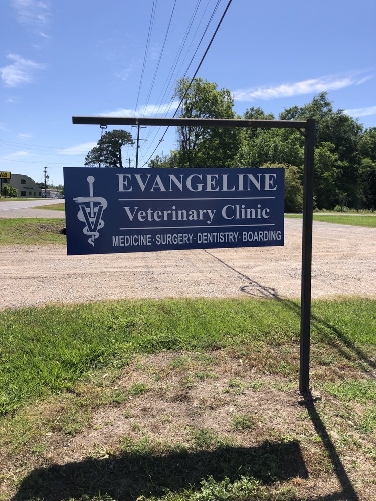 Evangeline Veterinary Clinic - pet boarding facility in Broussard, LA