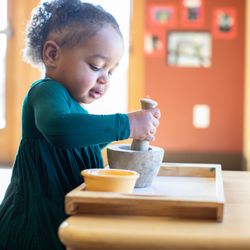Minnesota Montessori Accelerated Learning Center