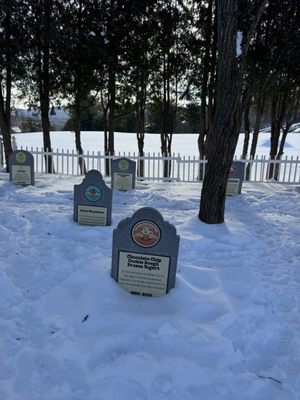 Ben & Jerry's Flavor Graveyard by null