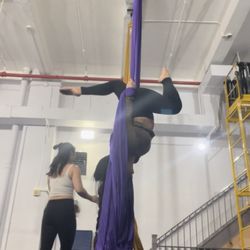 Aerial Arts