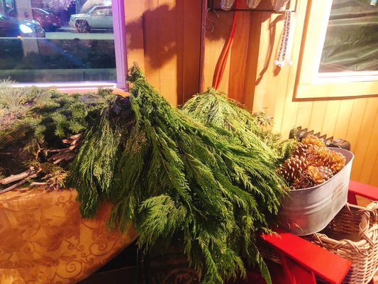 Capitol Park by null