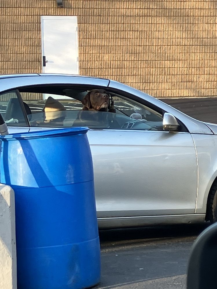 NEW ENGLAND CAR AND VAN WASH 15 Reviews 1600 Mendon Rd, Cumberland