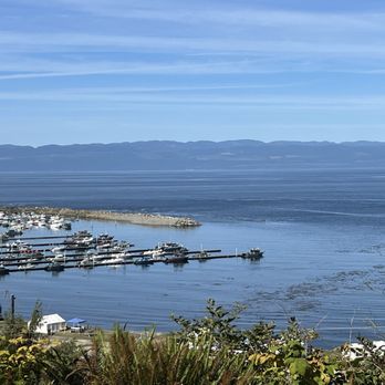 Pat's Place - View from a picnic table in the back on a beautiful August day--I missed checking "Ambiance," but as you can see it was glorious! - New American Near Me - Neah Bay, Washington Pat's Place - View from a picnic table in the back on a beautiful August day--I missed checking "Ambiance," but as you can see it was glorious! - New American Near Me - Neah Bay, Washington