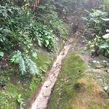山頂環迴步行徑 - Hiking Near Me - Hong Kong, HK