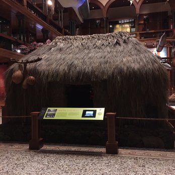 Bishop Museum - Museums Near Me - Honolulu, Hawaii