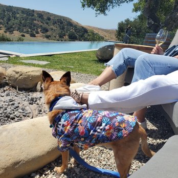 Wellington Coach Wine Tours - Strange Family Vineyard - Wine Tours Near Me - Solvang, California Wellington Coach Wine Tours - Strange Family Vineyard - Wine Tours Near Me - Solvang, California