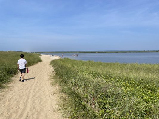 Long Point Wildlife Refuge by null