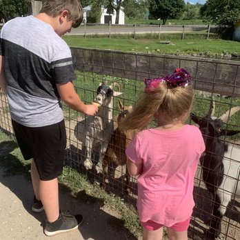 McQuesten Farm Stand - Kids feeding goats - Fruits & Veggies Near Me - Litchfield, New Hampshire McQuesten Farm Stand - Kids feeding goats - Fruits & Veggies Near Me - Litchfield, New Hampshire