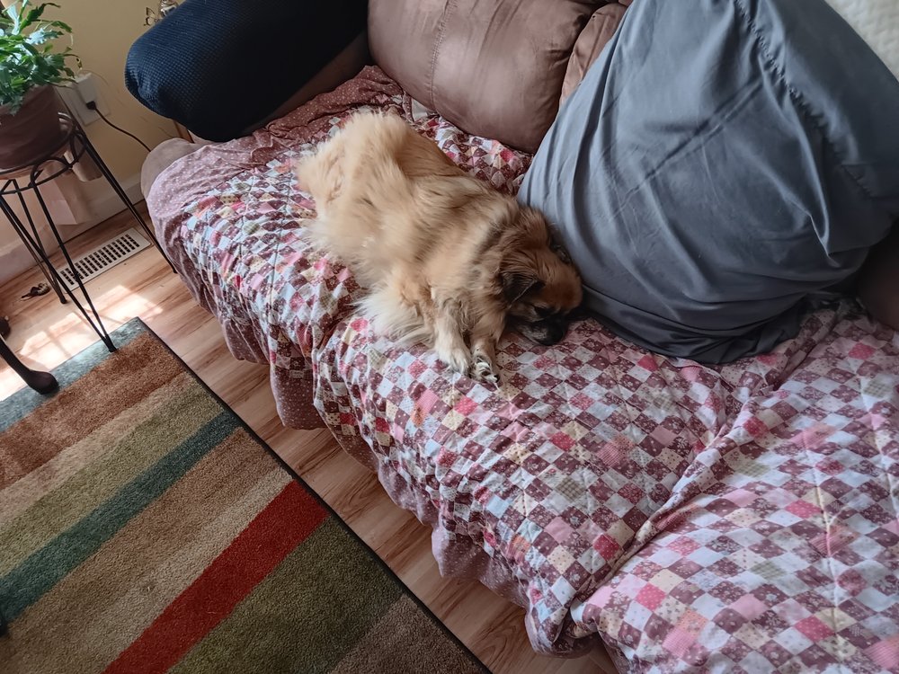 Deane Ted Upholstering - upholstery in Camby, IN