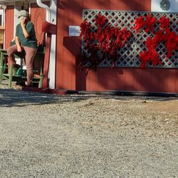 Jordan Lake Christmas Tree Farm - Bows and more