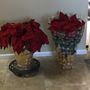 Photo of Brad's Bedding Plants Inc.