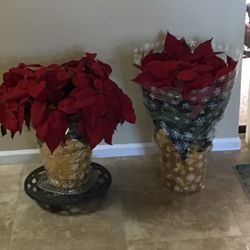 Brad's Bedding Plants Inc.