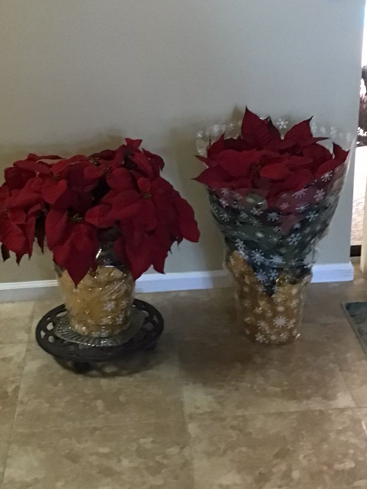 BRAD’S BEDDING PLANTS INC. Updated September 2024 1555 North Kings