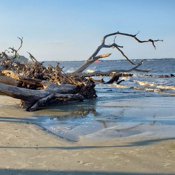 Driftwood Beach - Beaches Near Me - Jekyll Island, Georgia Driftwood Beach - Beaches Near Me - Jekyll Island, Georgia