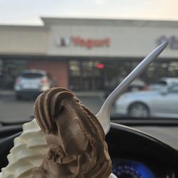 Tigers Yogurt - Last day for this ownership.  Snickers and vanilla