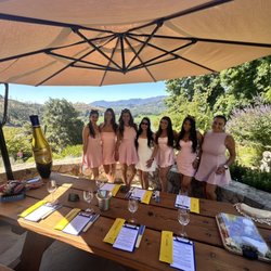 Apex Wine Tours & Limo Service - Napa Wine Tour