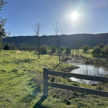 Bernal Community Park - February 2025 Bernal Community Park - View of water from walking path after the rain - Parks Near Me - Pleasanton, California Bernal Community Park - February 2025 Bernal Community Park - View of water from walking path after the rain - Parks Near Me - Pleasanton, California
