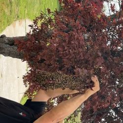Next Generation Pest Control - Next Generation Pest Control offers expert bee removal in Turlock & surrounding areas. Call today for safe, professional service!