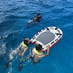 Island Divers - Swimming w turtles!!