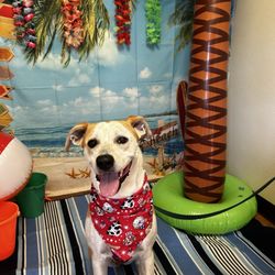 Camp Bow Wow Eatontown - Front entrance photo op