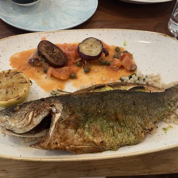Elia - Greek Near Me - Pleasanton, California