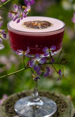 Ocean Beach Cafe by null Ocean Beach Cafe by null