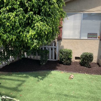 Premier Shear - Hedge trimming and mulching - Tree Services Near Me Premier Shear - Hedge trimming and mulching - Tree Services Near Me