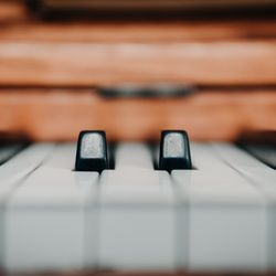 Piano Lessons with Diana